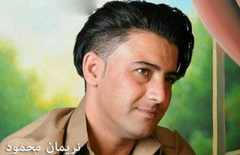 نریمان محمود حمیده